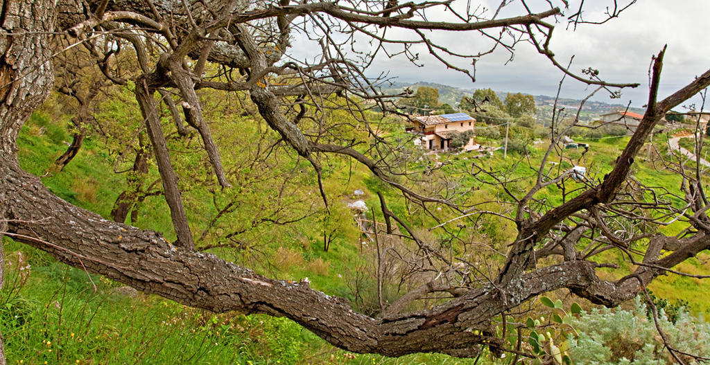 Fondaco Del Fico Villa Roccella Ionica Exterior photo